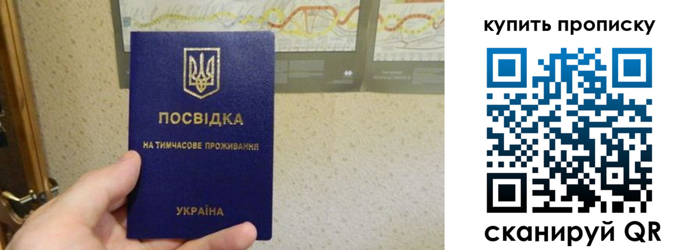 временная регистрация поиск в Трубчевске